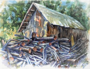 A CORNER OF A VILLAGE YARD. 2017